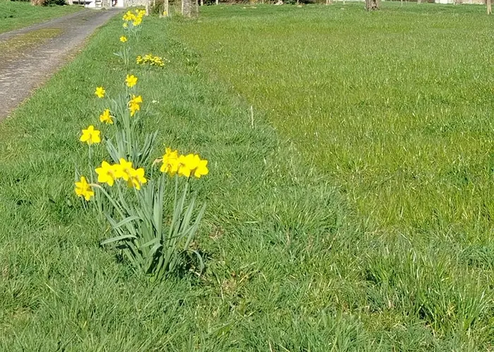 Couette-café La Bourgerie 3*