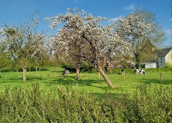 La Bourgerie Saint-Aubin-Des-Bois (Calvados)